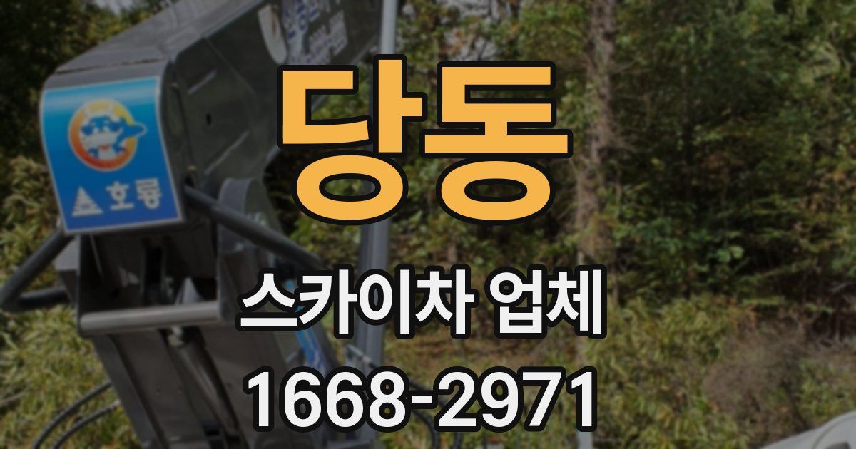 당동 스카이차 업체