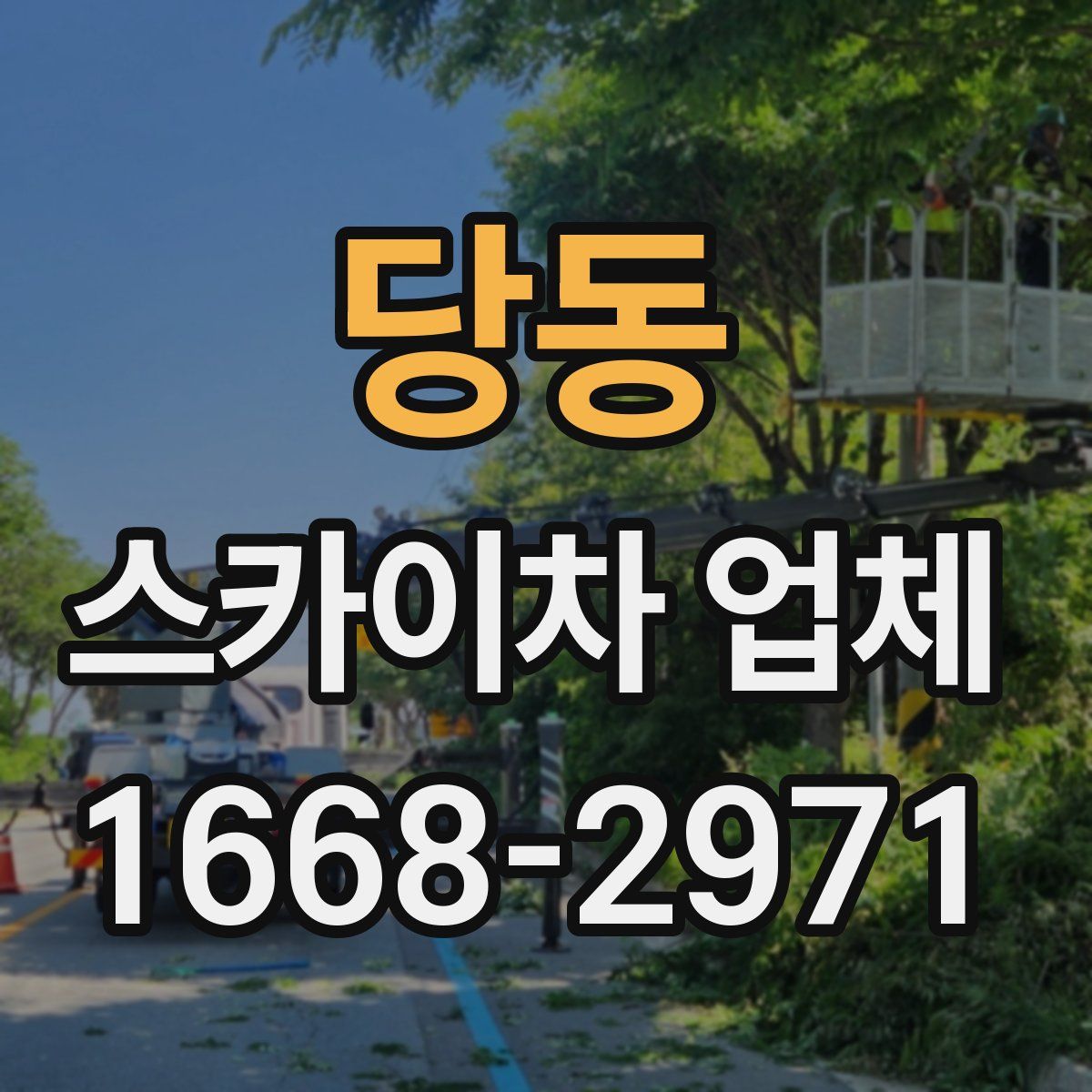 당동 스카이차 업체