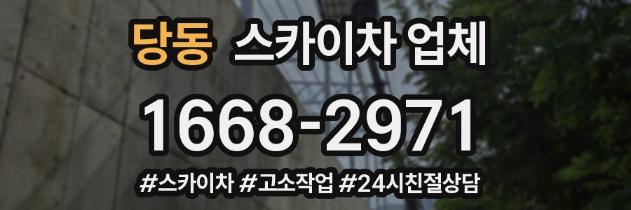 당동 스카이차 업체
