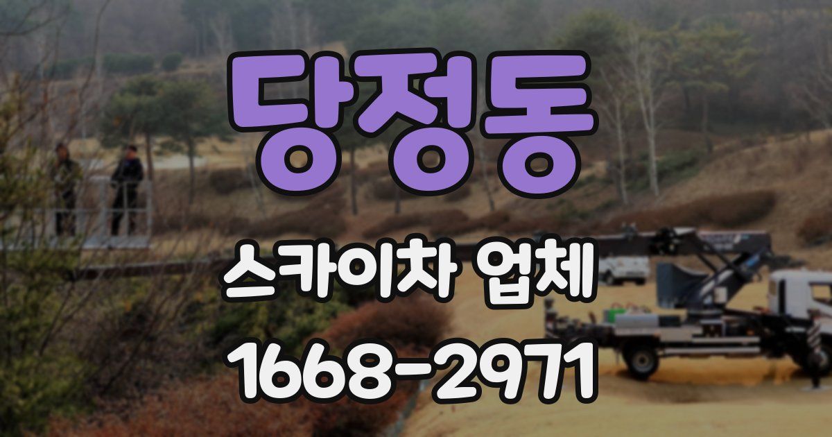 당정동 스카이차 업체