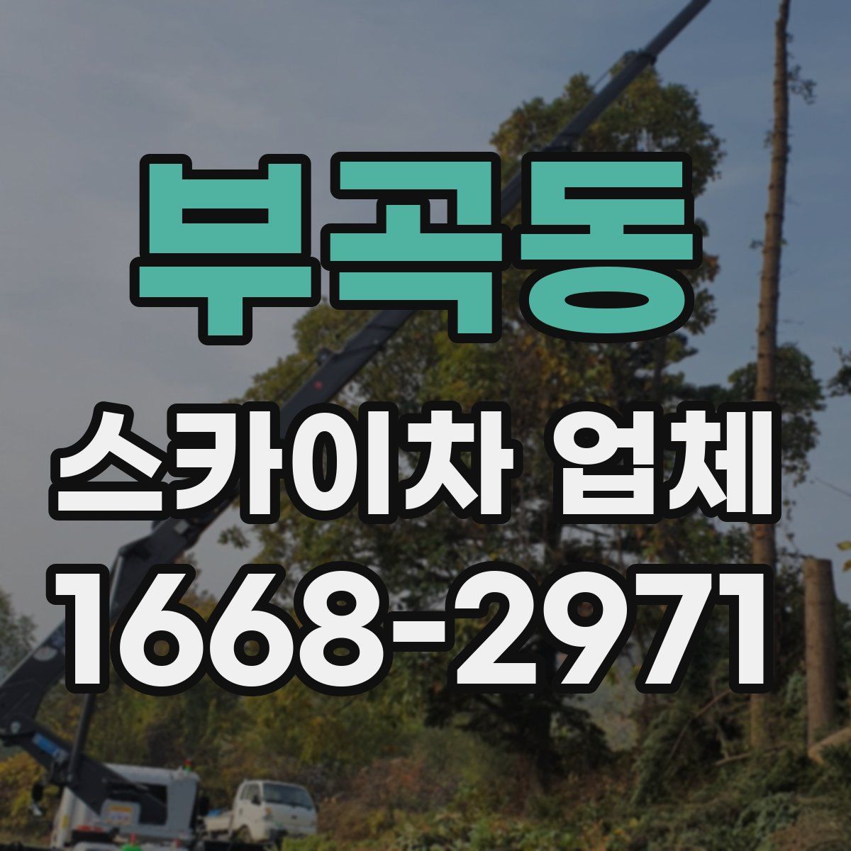 부곡동 스카이차 업체
