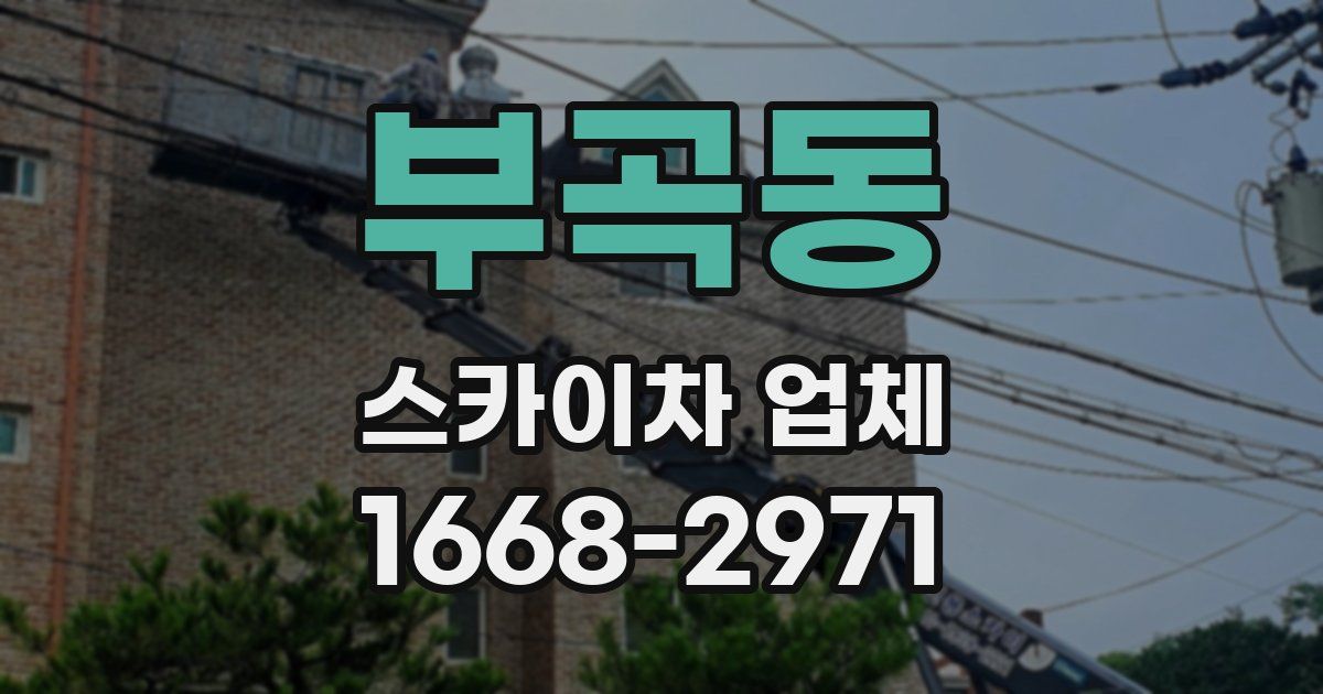 부곡동 스카이차 업체