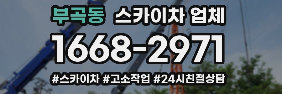 부곡동 스카이차 업체