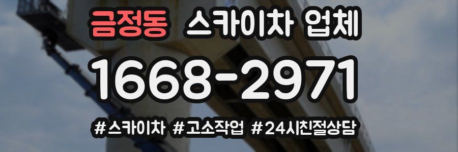 금정동 스카이차 업체