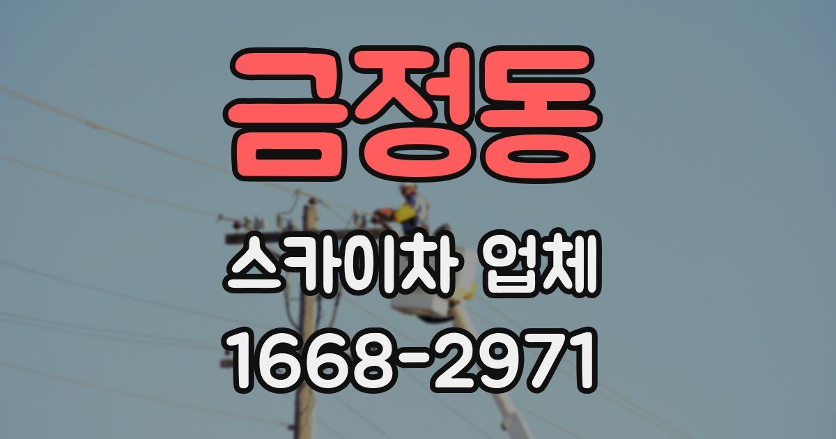 금정동 스카이차 업체