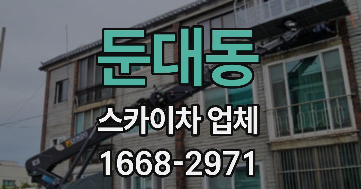 둔대동 스카이차 업체