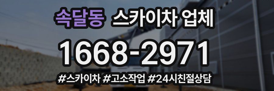 속달동 스카이차 업체