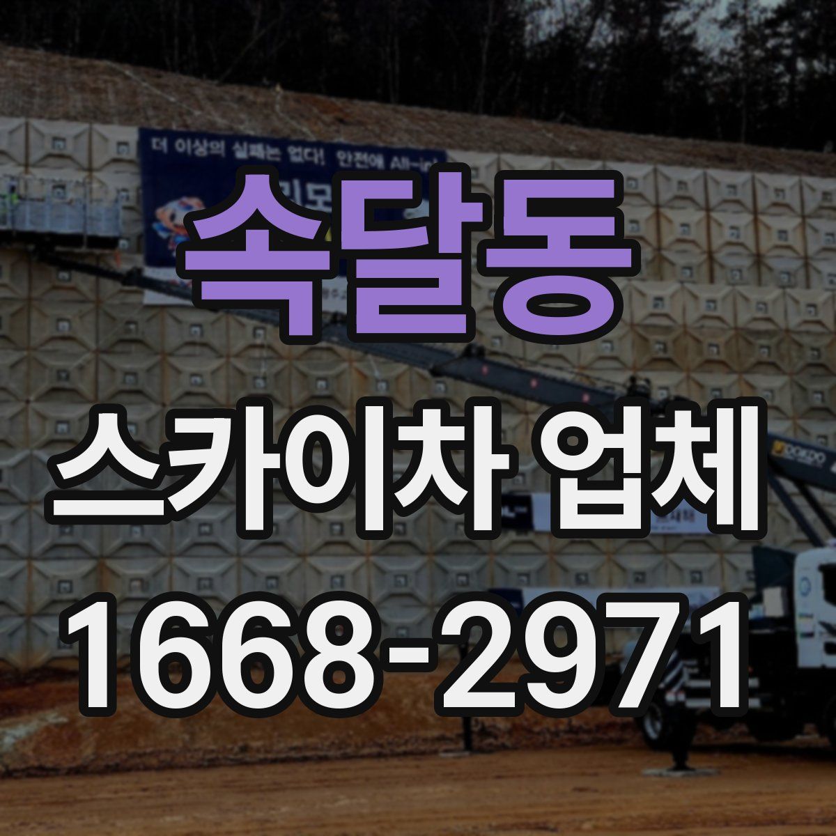 속달동 스카이차 업체