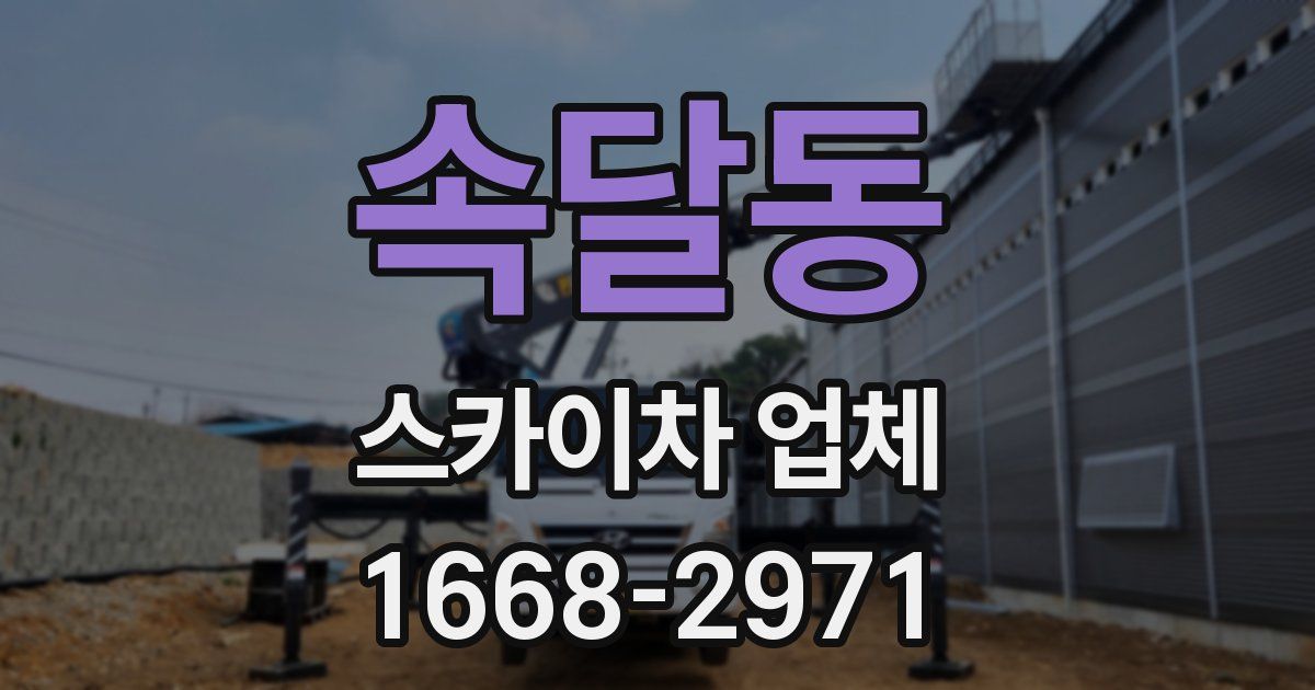속달동 스카이차 업체