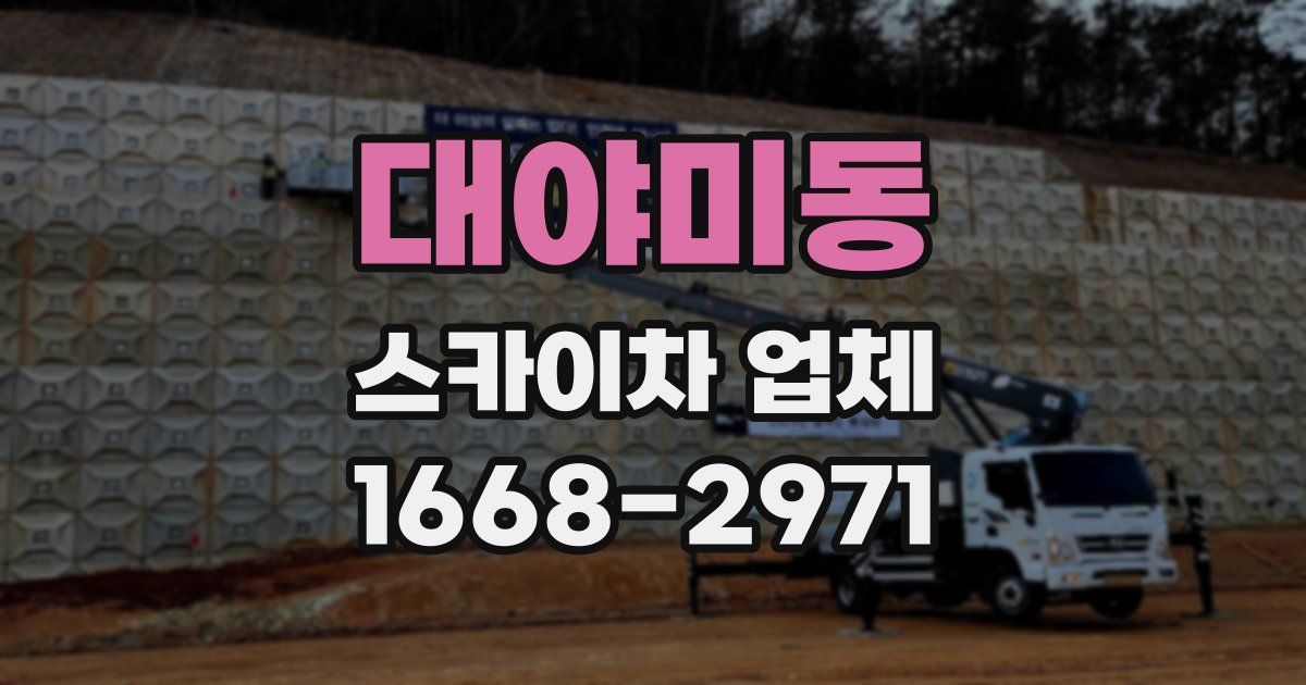 대야미동 스카이차 업체
