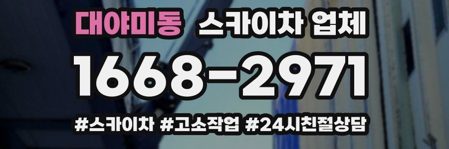 대야미동 스카이차 업체