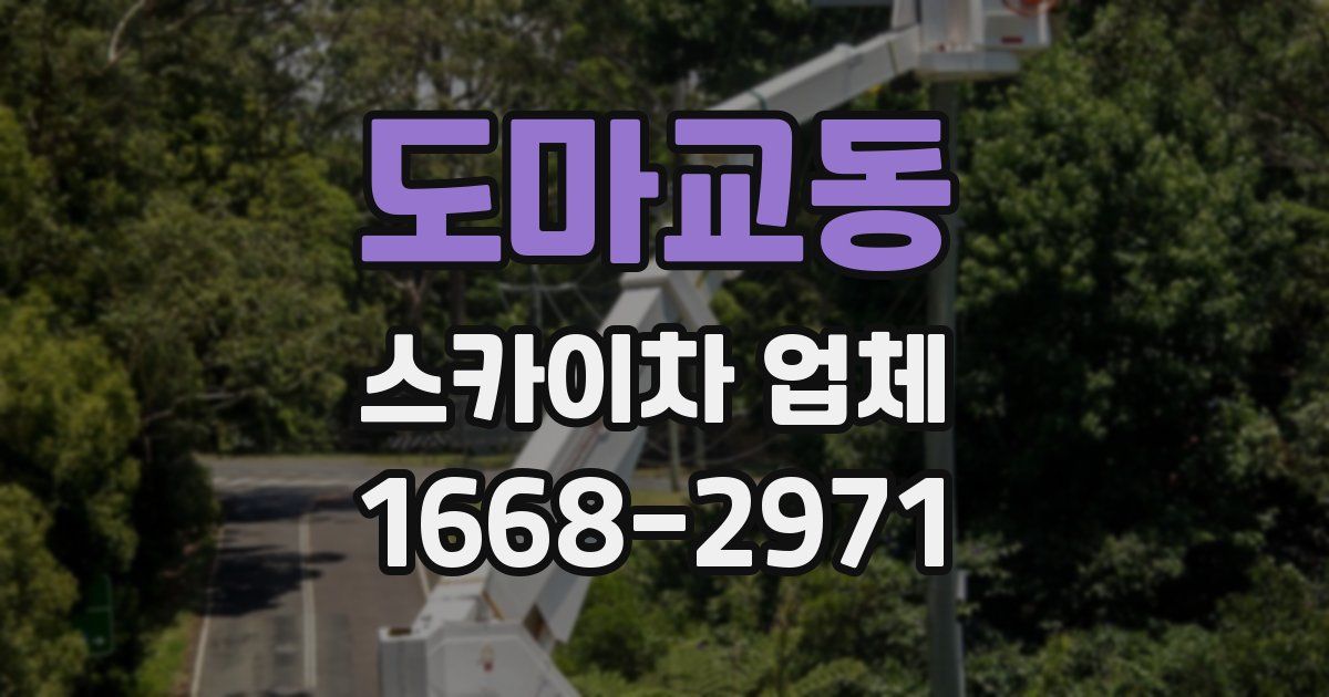 도마교동 스카이차 업체