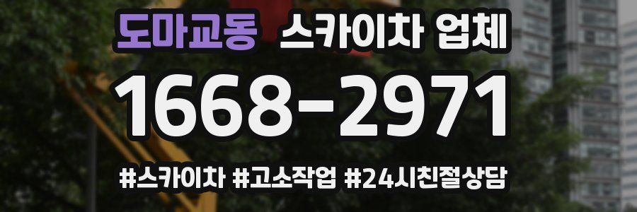도마교동 스카이차 업체