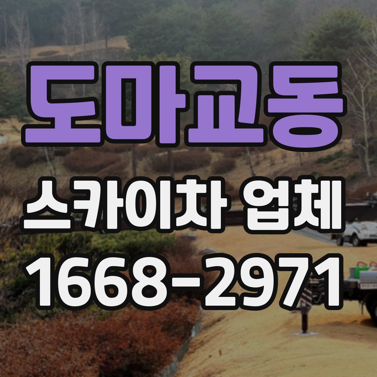 도마교동 스카이차 업체