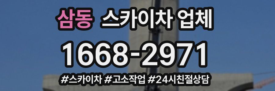 삼동 스카이차 업체