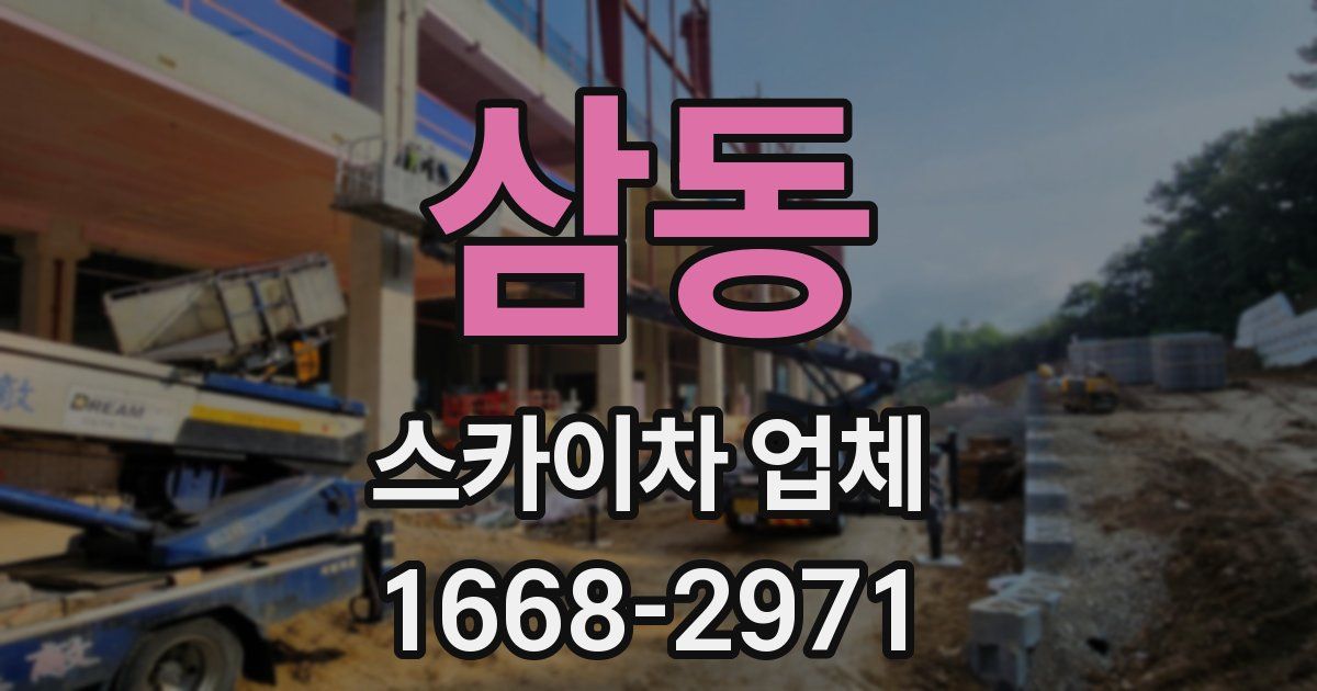 삼동 스카이차 업체