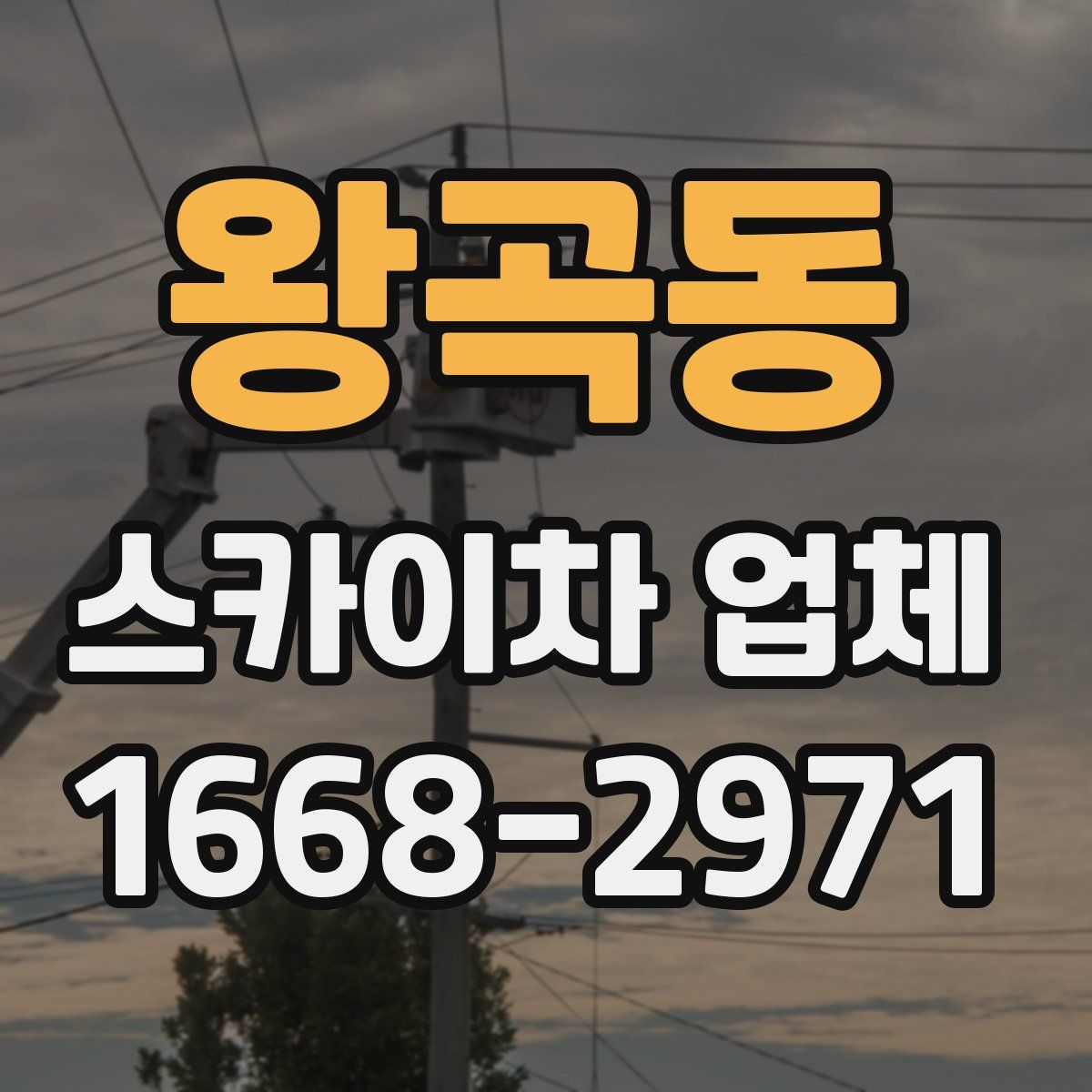 왕곡동 스카이차 업체