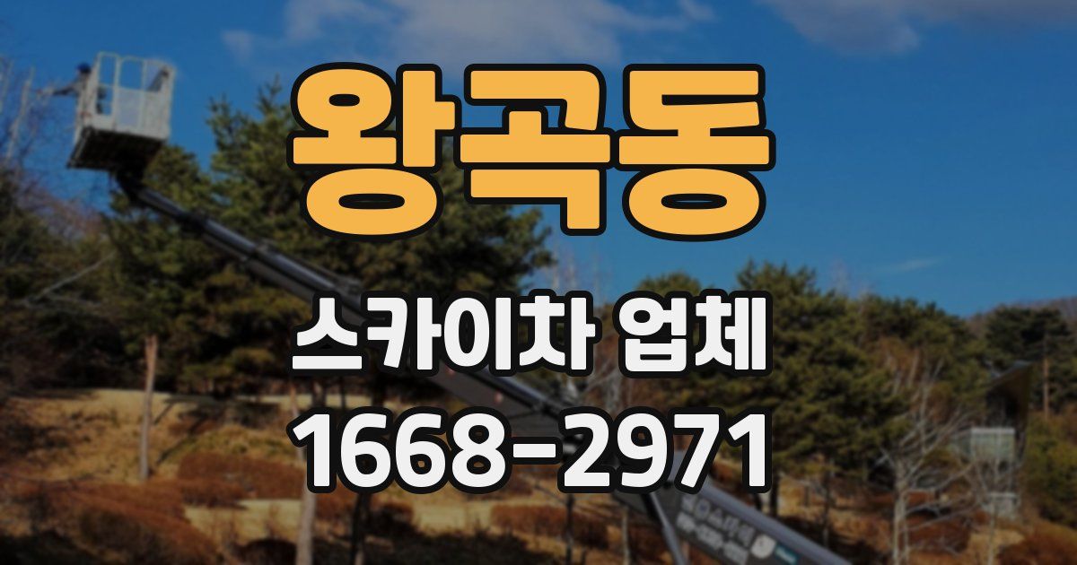 왕곡동 스카이차 업체