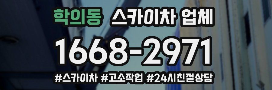학의동 스카이차 업체