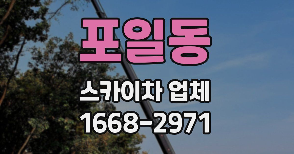 포일동 스카이차 업체
