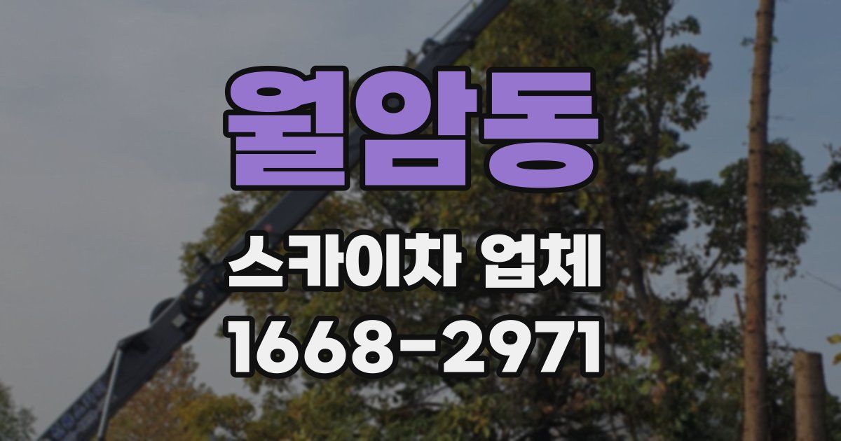 월암동 스카이차 업체