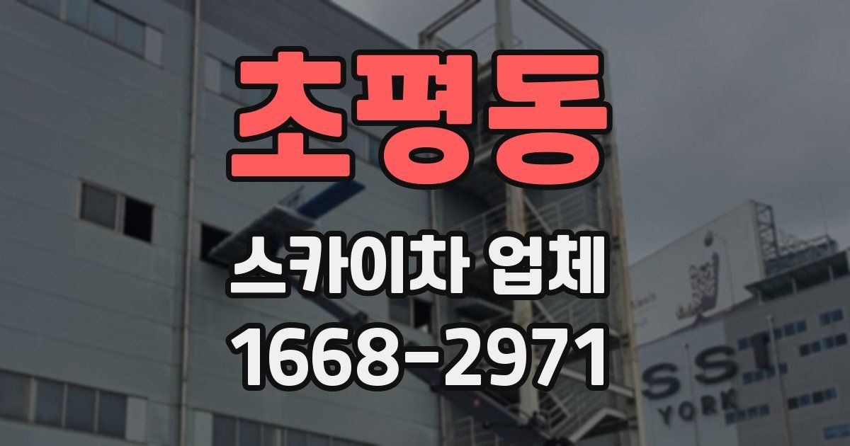 초평동 스카이차 업체