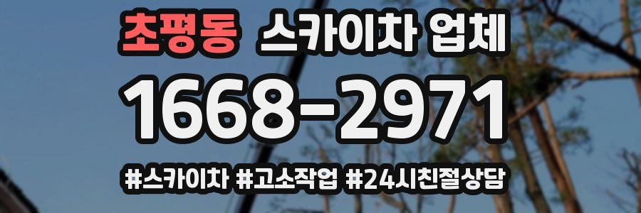 초평동 스카이차 업체