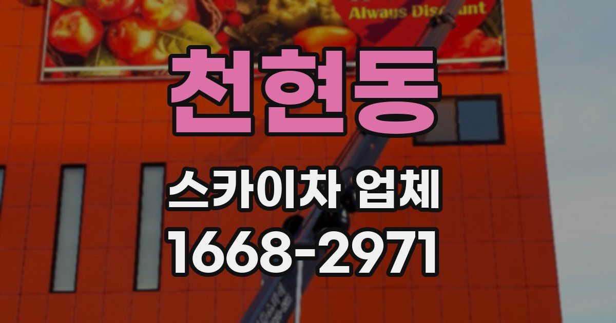 천현동 스카이차 업체