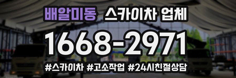 배알미동 스카이차 업체