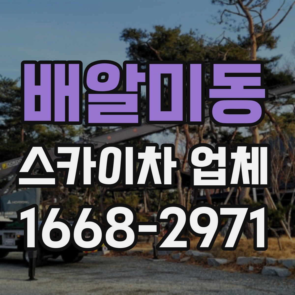 배알미동 스카이차 업체