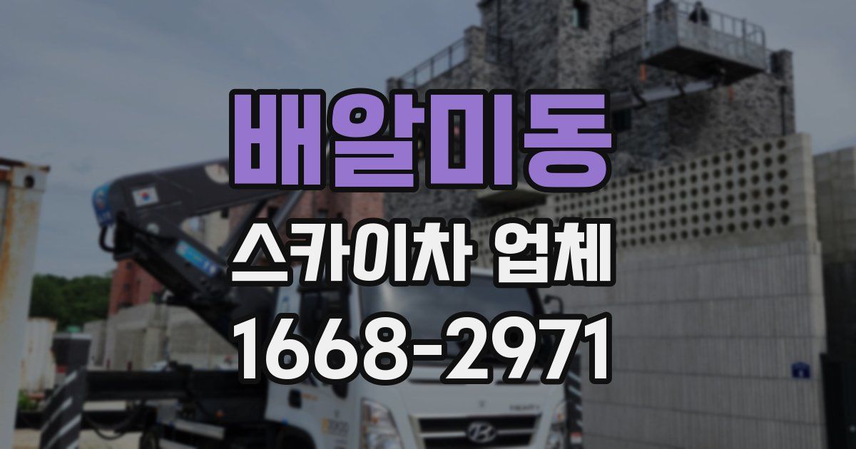 배알미동 스카이차 업체