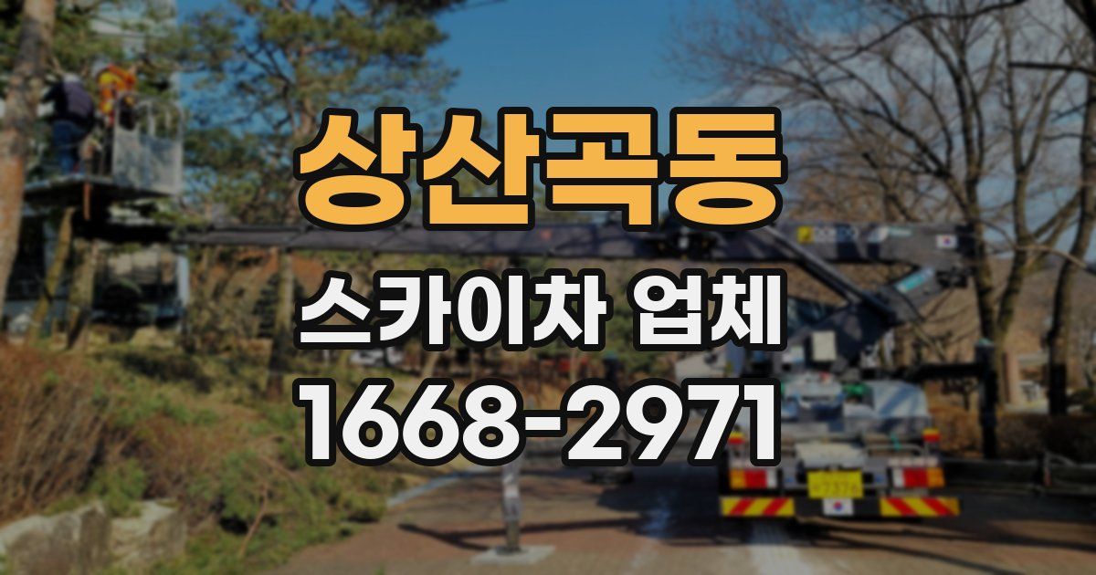 상산곡동 스카이차 업체