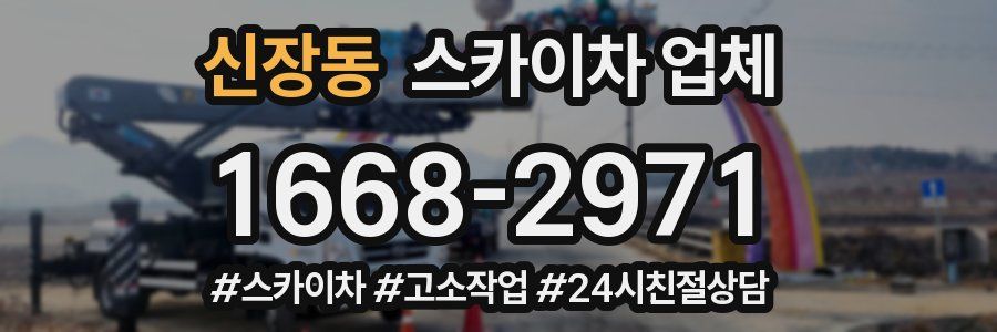 신장동 스카이차 업체
