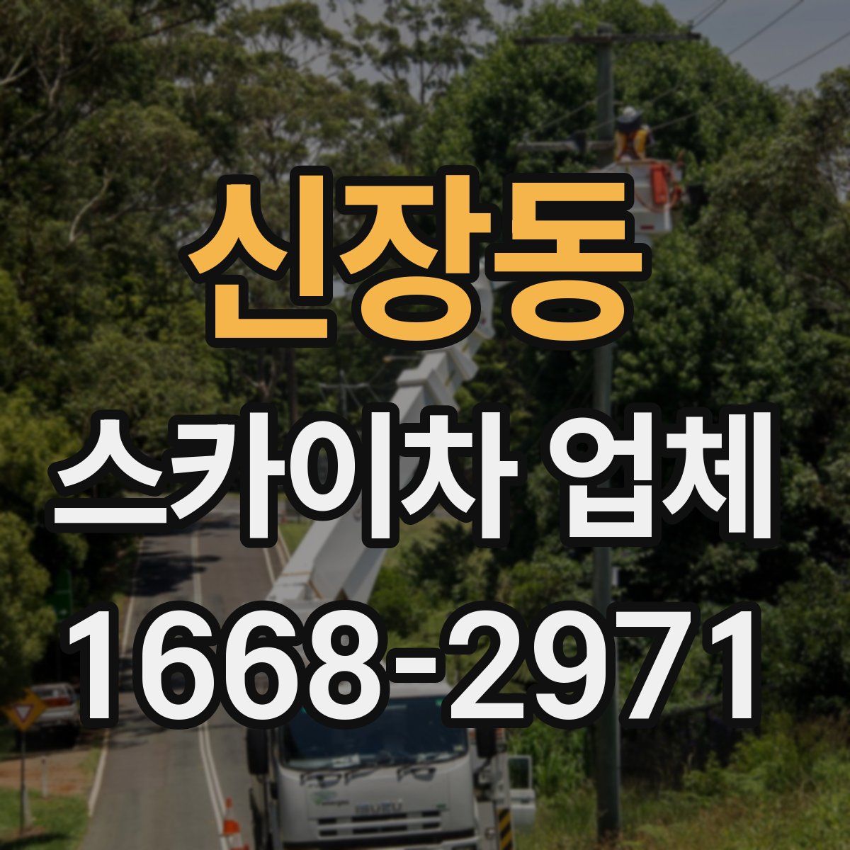 신장동 스카이차 업체