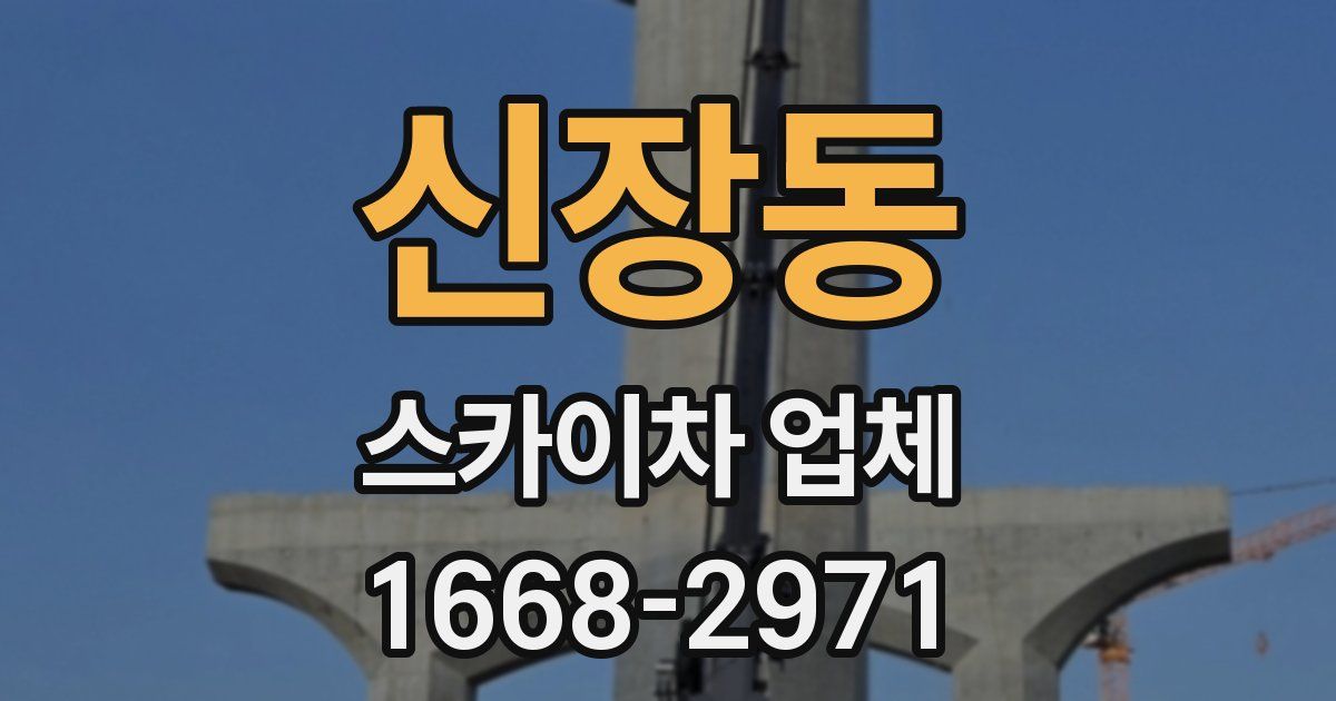 신장동 스카이차 업체