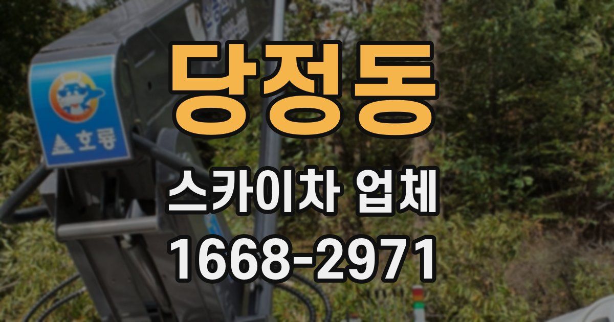당정동 스카이차 업체