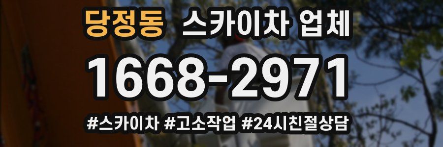 당정동 스카이차 업체