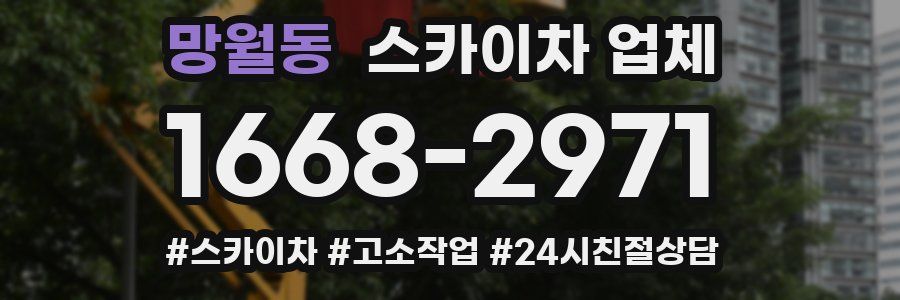 망월동 스카이차 업체