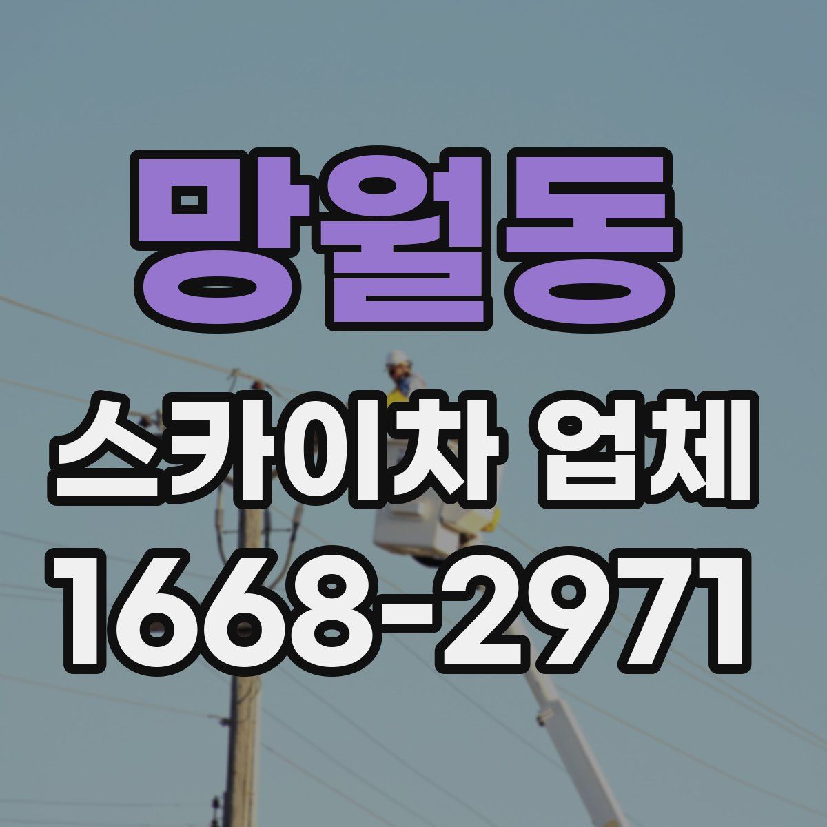 망월동 스카이차 업체