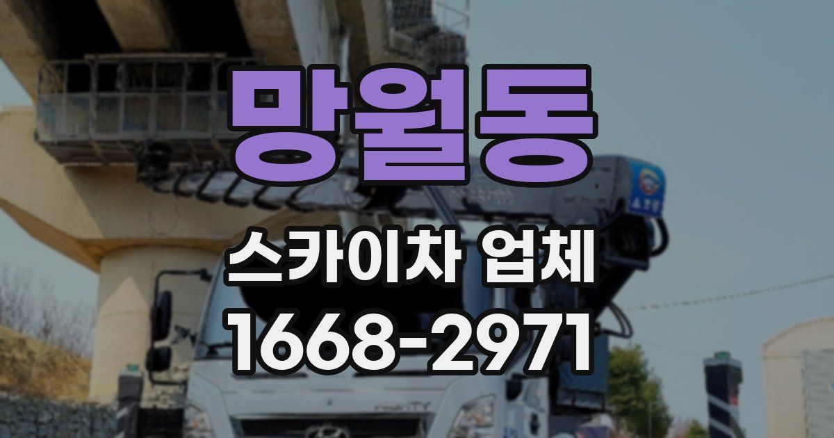 망월동 스카이차 업체