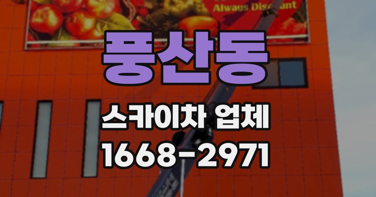 풍산동 스카이차 업체