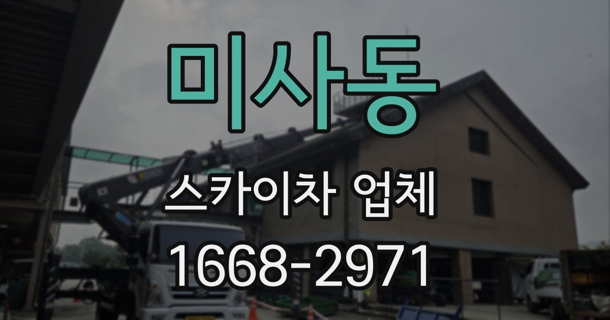 미사동 스카이차 업체