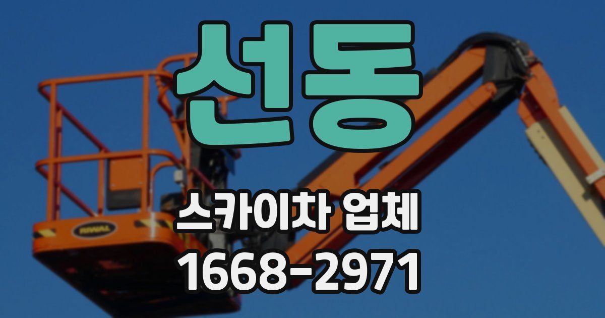 선동 스카이차 업체