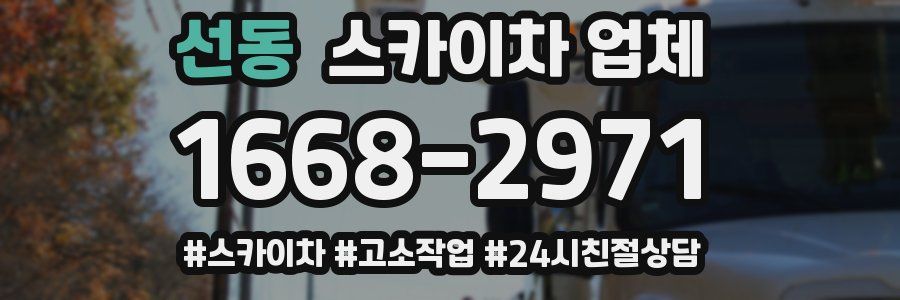 선동 스카이차 업체
