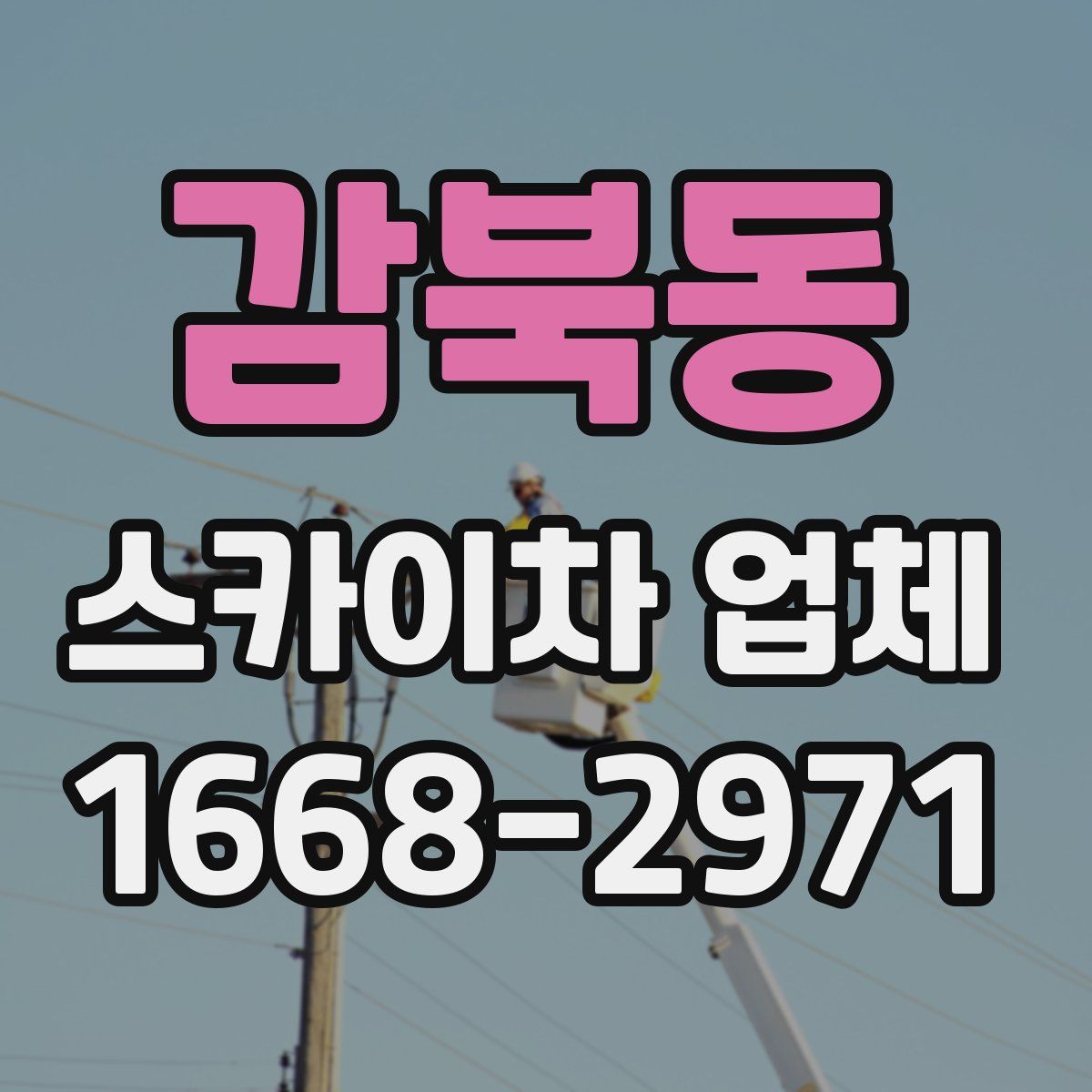 감북동 스카이차 업체