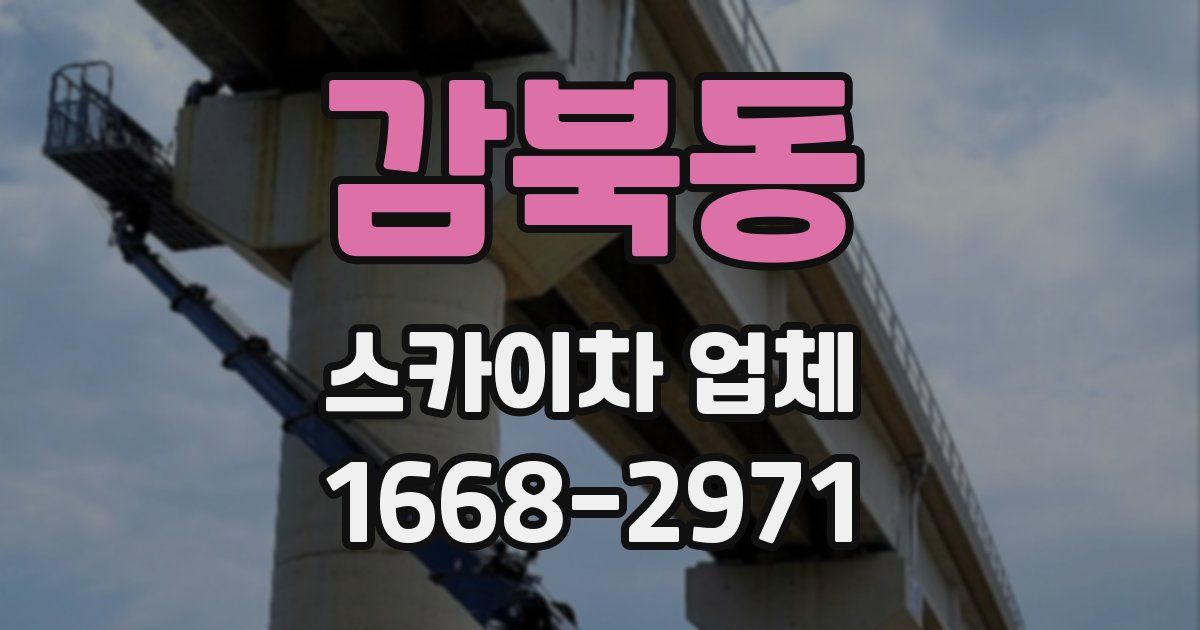 감북동 스카이차 업체
