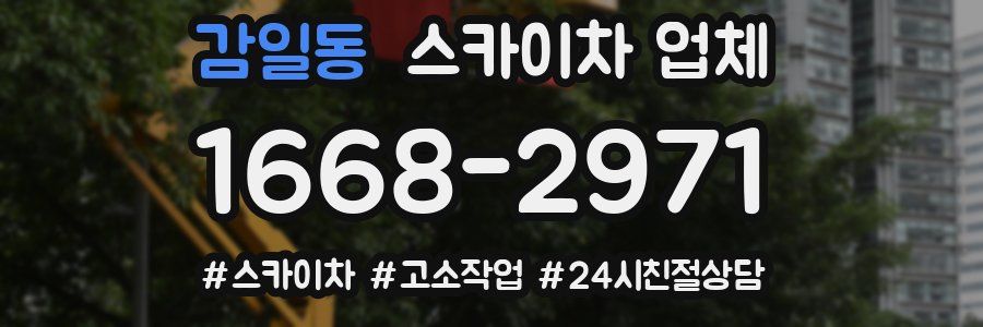 감일동 스카이차 업체
