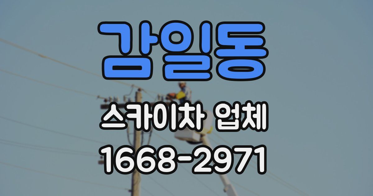 감일동 스카이차 업체