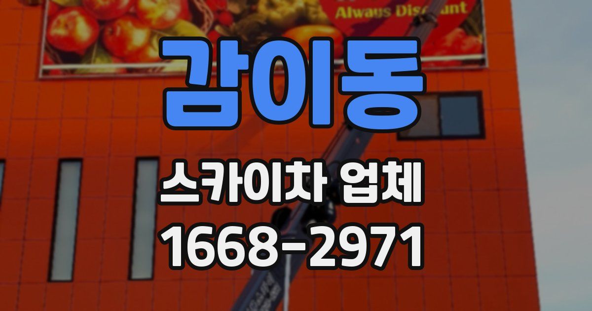 감이동 스카이차 업체