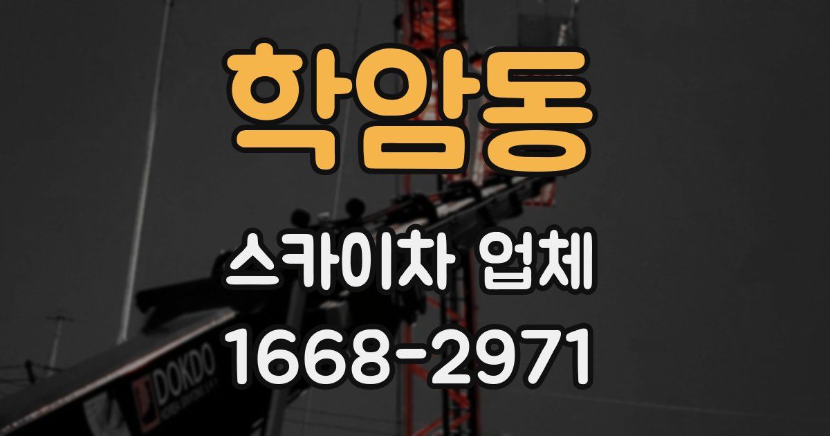 학암동 스카이차 업체